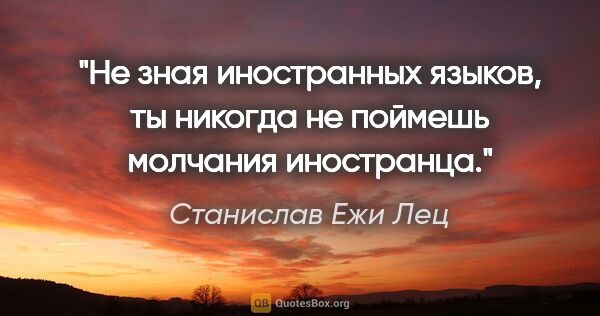 Станислав Ежи Лец цитата: "Не зная иностранных языков, ты никогда не поймешь молчания..."