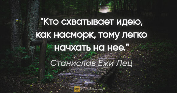 Станислав Ежи Лец цитата: "Кто схватывает идею, как насморк, тому легко начхать на нее."