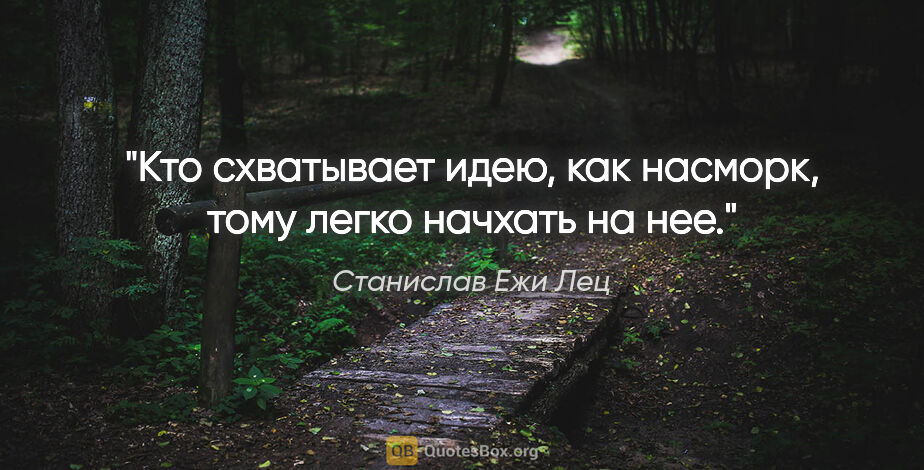 Станислав Ежи Лец цитата: "Кто схватывает идею, как насморк, тому легко начхать на нее."