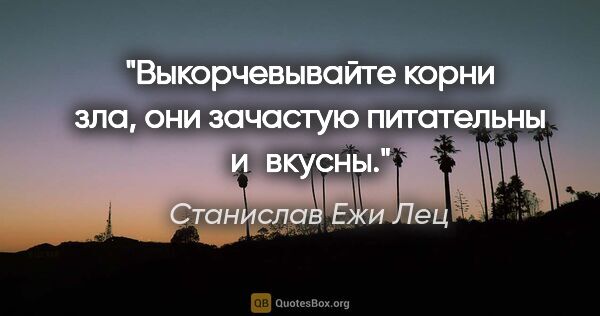 Станислав Ежи Лец цитата: "Выкорчевывайте корни зла, они зачастую питательны и вкусны."