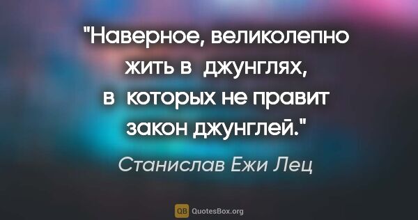 Станислав Ежи Лец цитата: "Наверное, великолепно жить в джунглях, в которых не правит..."