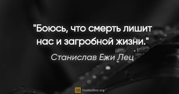 Станислав Ежи Лец цитата: "Боюсь, что смерть лишит нас и загробной жизни."