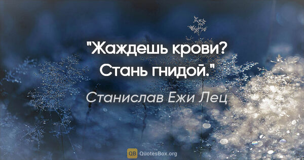 Станислав Ежи Лец цитата: "Жаждешь крови? Стань гнидой."