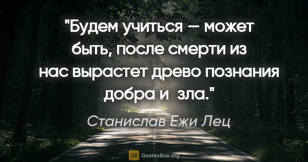 Станислав Ежи Лец цитата: "Будем учиться — может быть, после смерти из нас вырастет древо..."