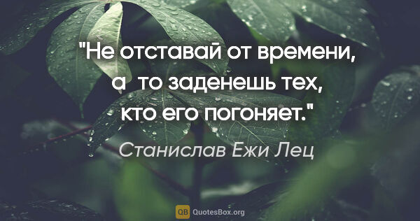 Станислав Ежи Лец цитата: "Не отставай от времени, а то заденешь тех, кто его погоняет."