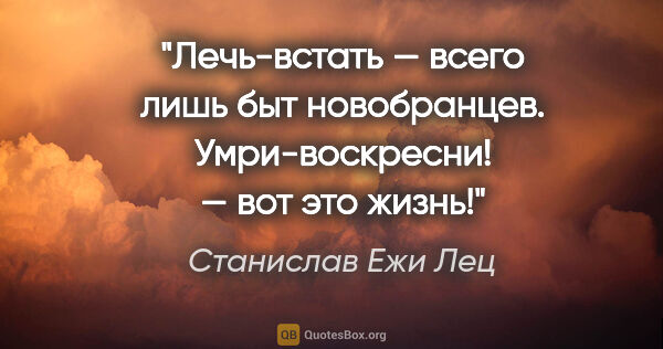 Станислав Ежи Лец цитата: "«Лечь-встать» — всего лишь быт новобранцев. «Умри-воскресни!»..."