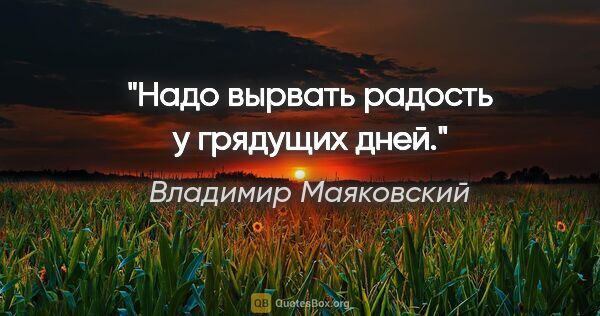 Владимир Маяковский цитата: "Надо вырвать радость у грядущих дней."