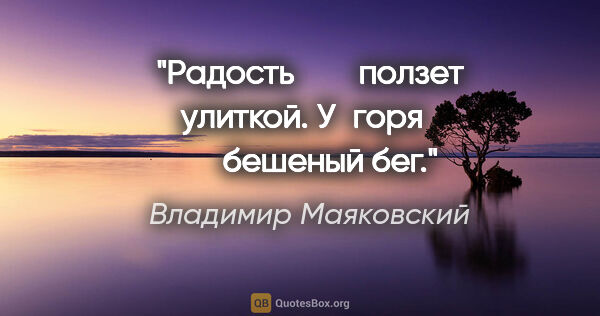 Владимир Маяковский цитата: "Радость

       ползет улиткой.

У горя

       бешеный бег."