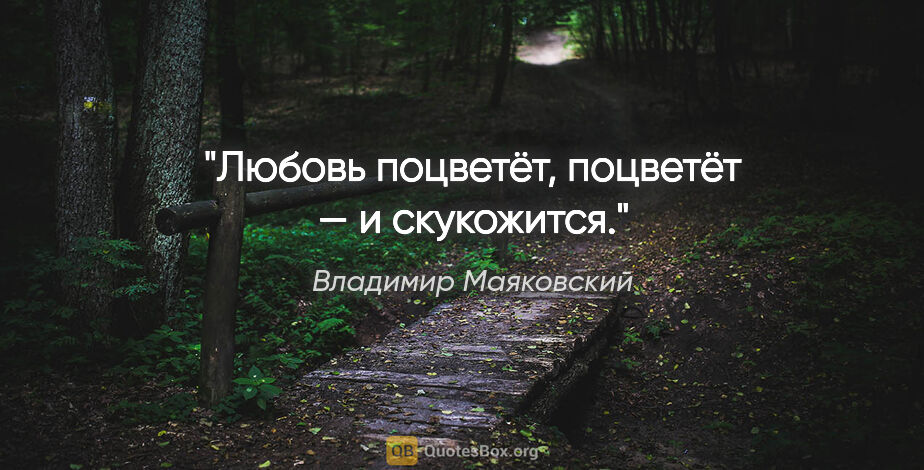 Владимир Маяковский цитата: "Любовь поцветёт,

поцветёт —

и скукожится."