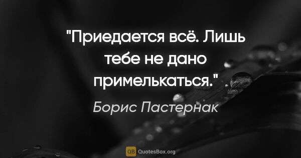 Борис Пастернак цитата: "Приедается всё.

Лишь тебе не дано примелькаться."