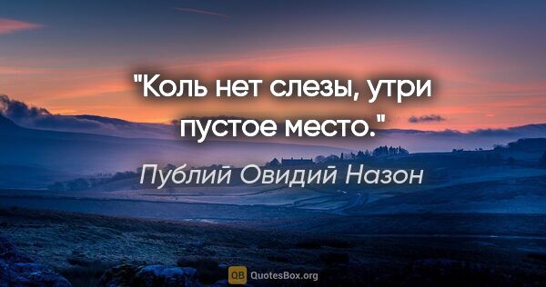 Публий Овидий Назон цитата: "Коль нет слезы, утри пустое место."