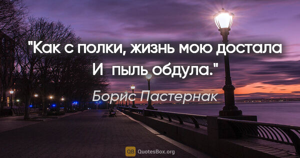 Борис Пастернак цитата: "Как с полки, жизнь мою достала

И пыль обдула."
