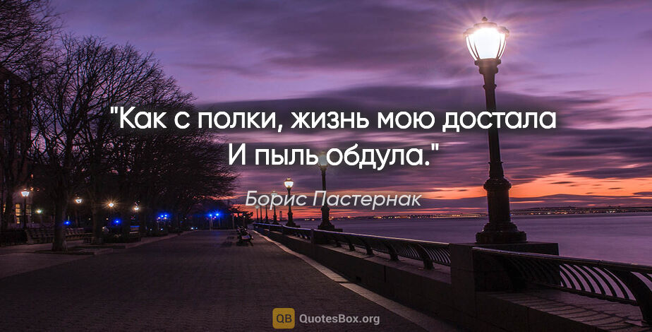 Борис Пастернак цитата: "Как с полки, жизнь мою достала

И пыль обдула."