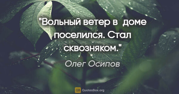 Олег Осипов цитата: "Вольный ветер

в доме поселился.

Стал сквозняком."