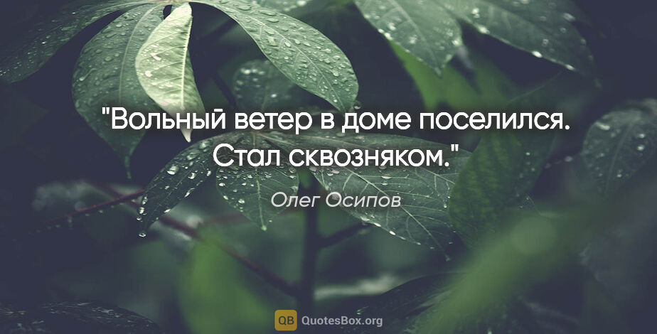 Олег Осипов цитата: "Вольный ветер

в доме поселился.

Стал сквозняком."