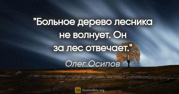 Олег Осипов цитата: "Больное дерево

лесника не волнует.

Он за лес отвечает."