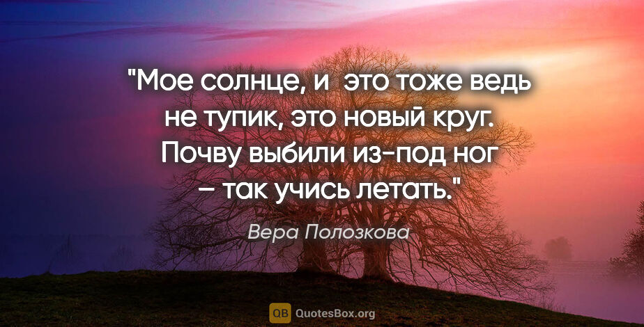 Вера Полозкова цитата: "Мое солнце, и это тоже ведь не тупик, это новый круг.

Почву..."