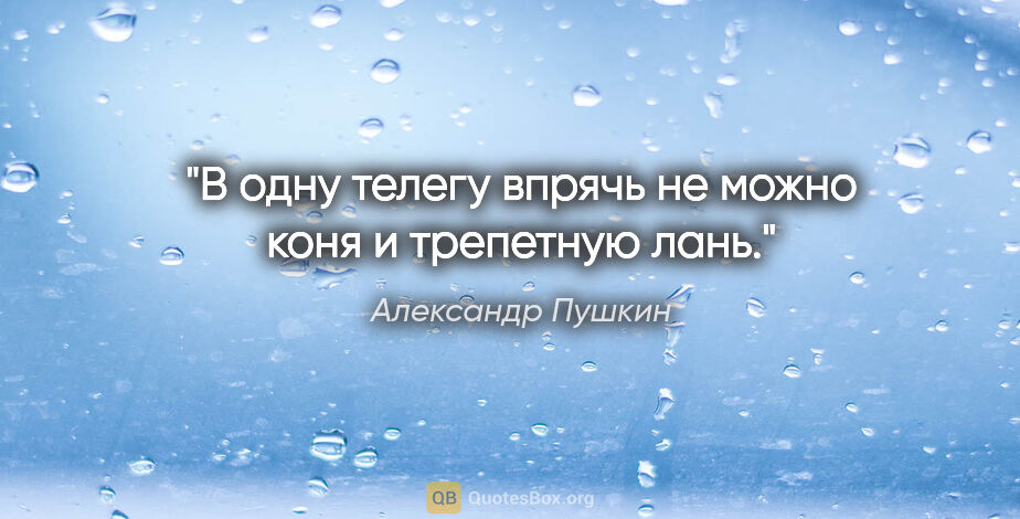 Александр Пушкин цитата: "В одну телегу впрячь не можно коня и трепетную лань."