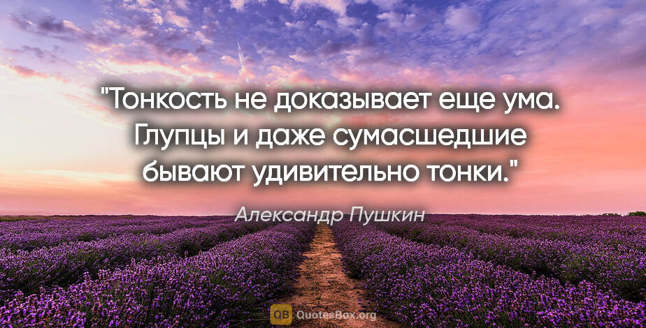 Александр Пушкин цитата: "Тонкость не доказывает еще ума. Глупцы и даже сумасшедшие..."