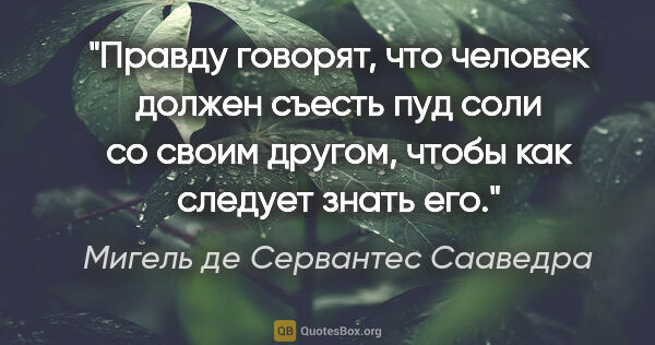 Мигель де Сервантес Сааведра цитата: "Правду говорят, что человек должен съесть пуд соли со своим..."