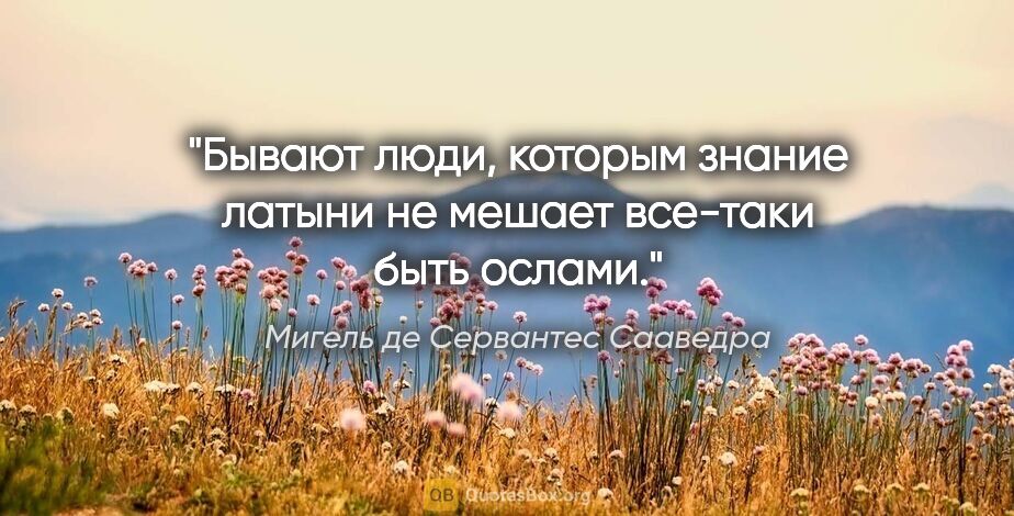 Мигель де Сервантес Сааведра цитата: "Бывают люди, которым знание латыни не мешает все-таки быть..."