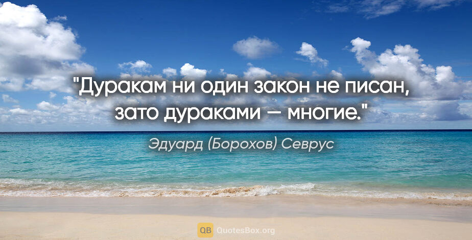 Эдуард (Борохов) Севрус цитата: "Дуракам ни один закон не писан, зато дураками — многие."