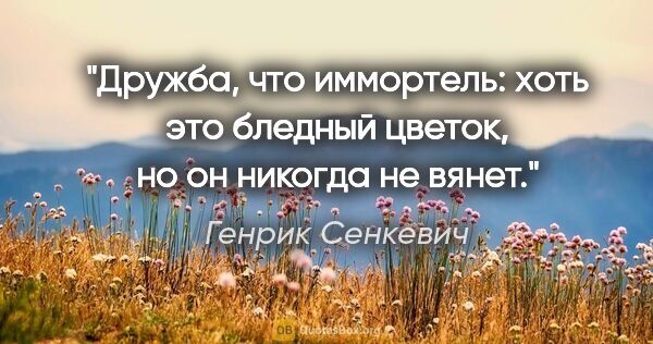 Генрик Сенкевич цитата: "Дружба, что иммортель: хоть это бледный цветок, но он никогда..."