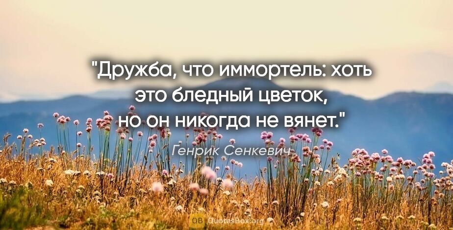 Генрик Сенкевич цитата: "Дружба, что иммортель: хоть это бледный цветок, но он никогда..."