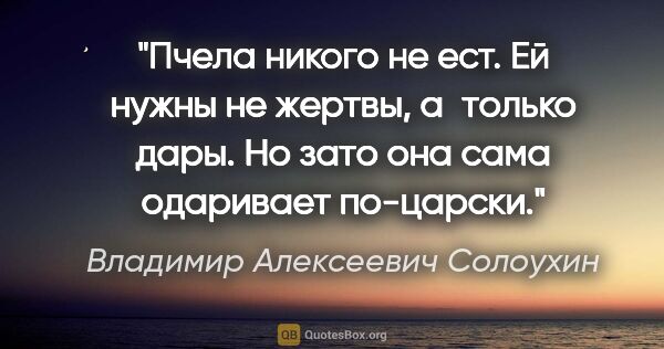 Владимир Алексеевич Солоухин цитата: "Пчела никого не ест. Ей нужны не жертвы, а только дары. Но..."