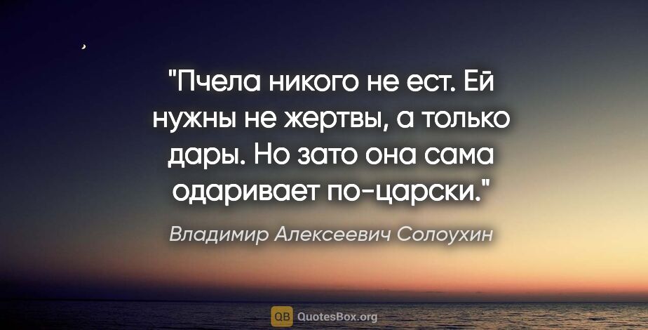 Владимир Алексеевич Солоухин цитата: "Пчела никого не ест. Ей нужны не жертвы, а только дары. Но..."