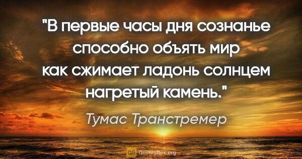 Тумас Транстремер цитата: "В первые часы дня сознанье способно объять мир

как сжимает..."