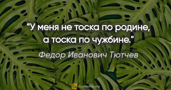 Федор Иванович Тютчев цитата: "У меня не тоска по родине, а тоска по чужбине."