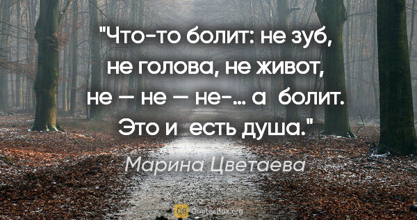 Марина Цветаева цитата: "Что-то болит: не зуб, не голова, не живот, не — не — не-…..."