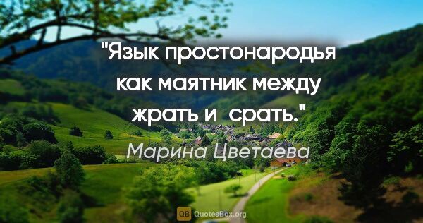 Марина Цветаева цитата: "Язык простонародья как маятник между жрать и срать."