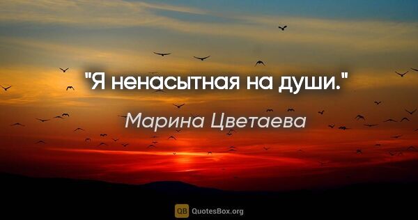 Марина Цветаева цитата: "Я ненасытная на души."