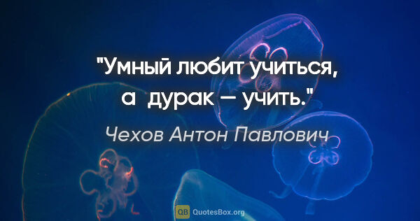 Чехов Антон Павлович цитата: "Умный любит учиться, а дурак — учить."