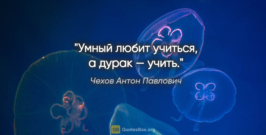 Чехов Антон Павлович цитата: "Умный любит учиться, а дурак — учить."