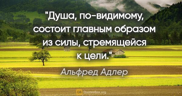 Альфред Адлер цитата: "Душа, по-видимому, состоит главным образом из силы,..."