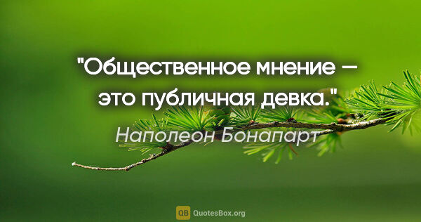 Наполеон Бонапарт цитата: "Общественное мнение — это публичная девка."