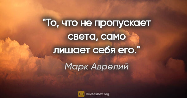 Марк Аврелий цитата: "То, что не пропускает света, само лишает себя его."