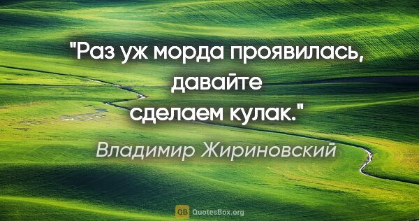 Владимир Жириновский цитата: "Раз уж морда проявилась, давайте сделаем кулак."