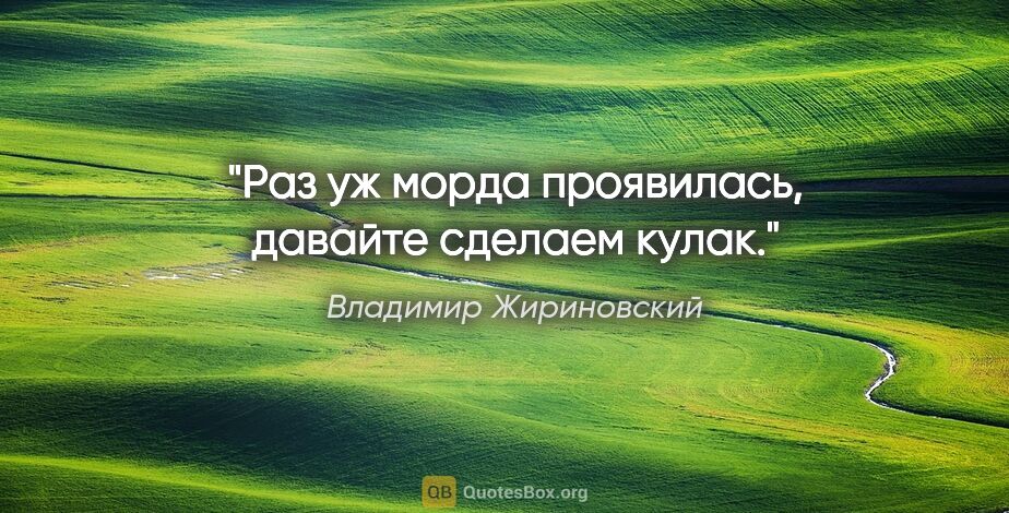 Владимир Жириновский цитата: "Раз уж морда проявилась, давайте сделаем кулак."