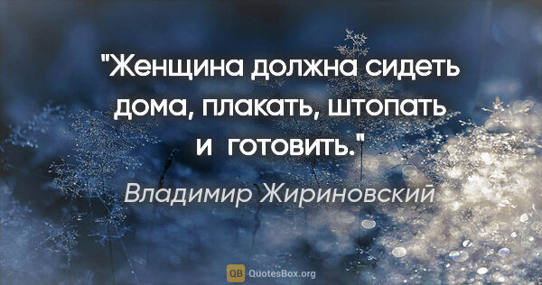 Владимир Жириновский цитата: "Женщина должна сидеть дома, плакать, штопать и готовить."