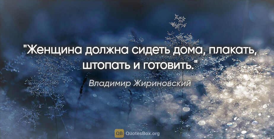 Владимир Жириновский цитата: "Женщина должна сидеть дома, плакать, штопать и готовить."