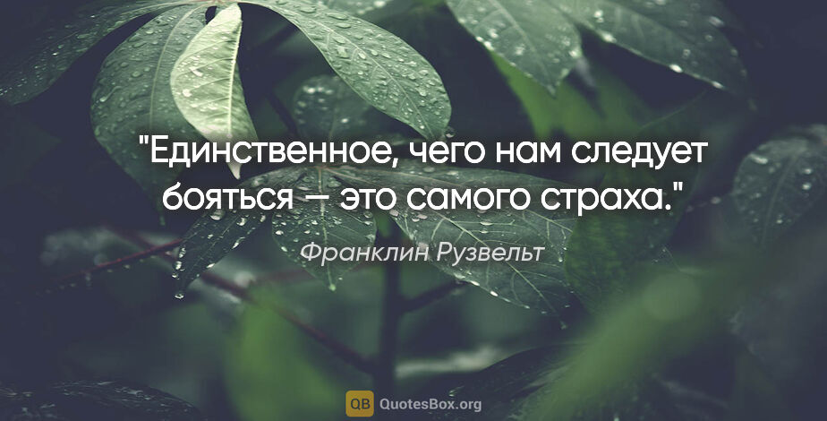 Франклин Рузвельт цитата: "Единственное, чего нам следует бояться — это самого страха."