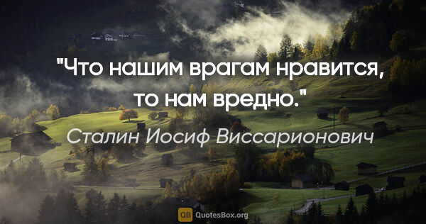 Сталин Иосиф Виссарионович цитата: "Что нашим врагам нравится, то нам вредно."