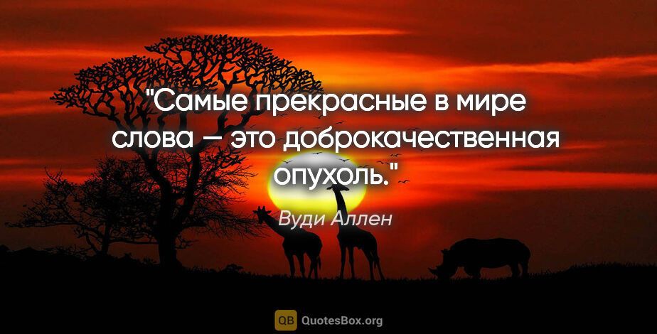 Вуди Аллен цитата: "Самые прекрасные в мире слова — это доброкачественная опухоль."