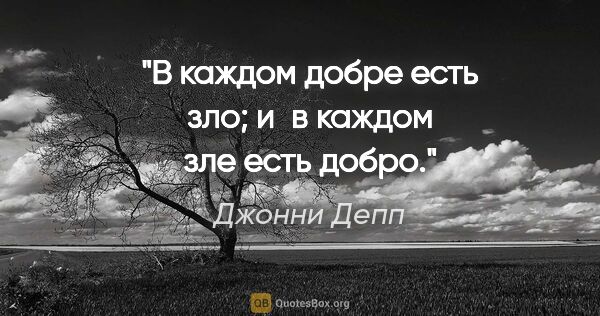 Джонни Депп цитата: "В каждом добре есть зло; и в каждом зле есть добро."