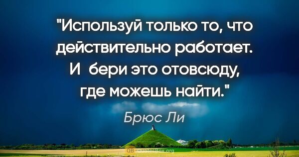 Брюс Ли цитата: "Используй только то, что действительно работает. И бери это..."