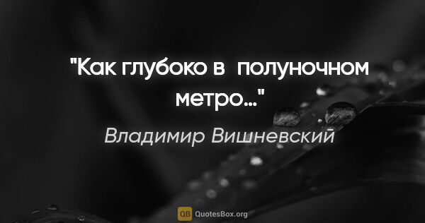 Владимир Вишневский цитата: "Как глубоко в полуночном метро…"